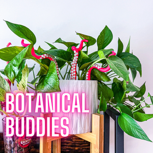 Botanical Buddies
