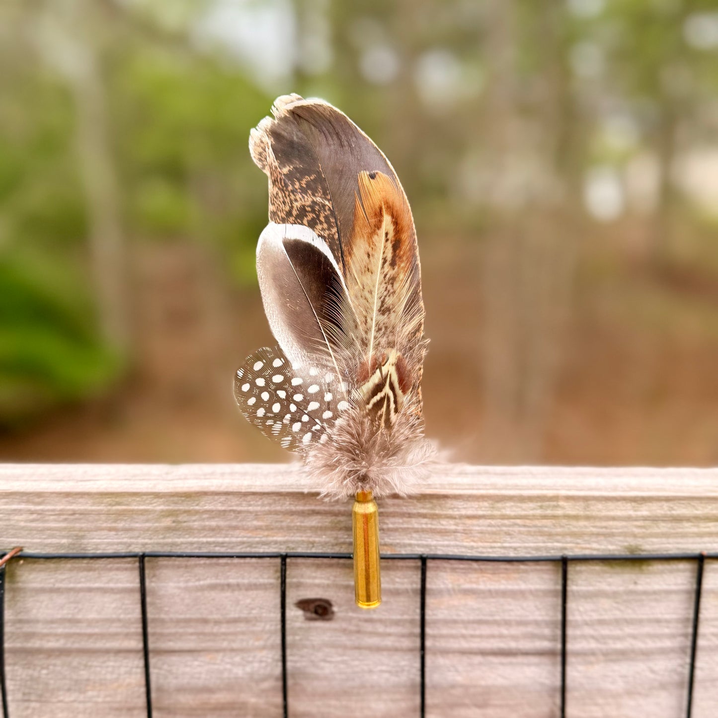 Wholesale Feather Casing clips- 10pk