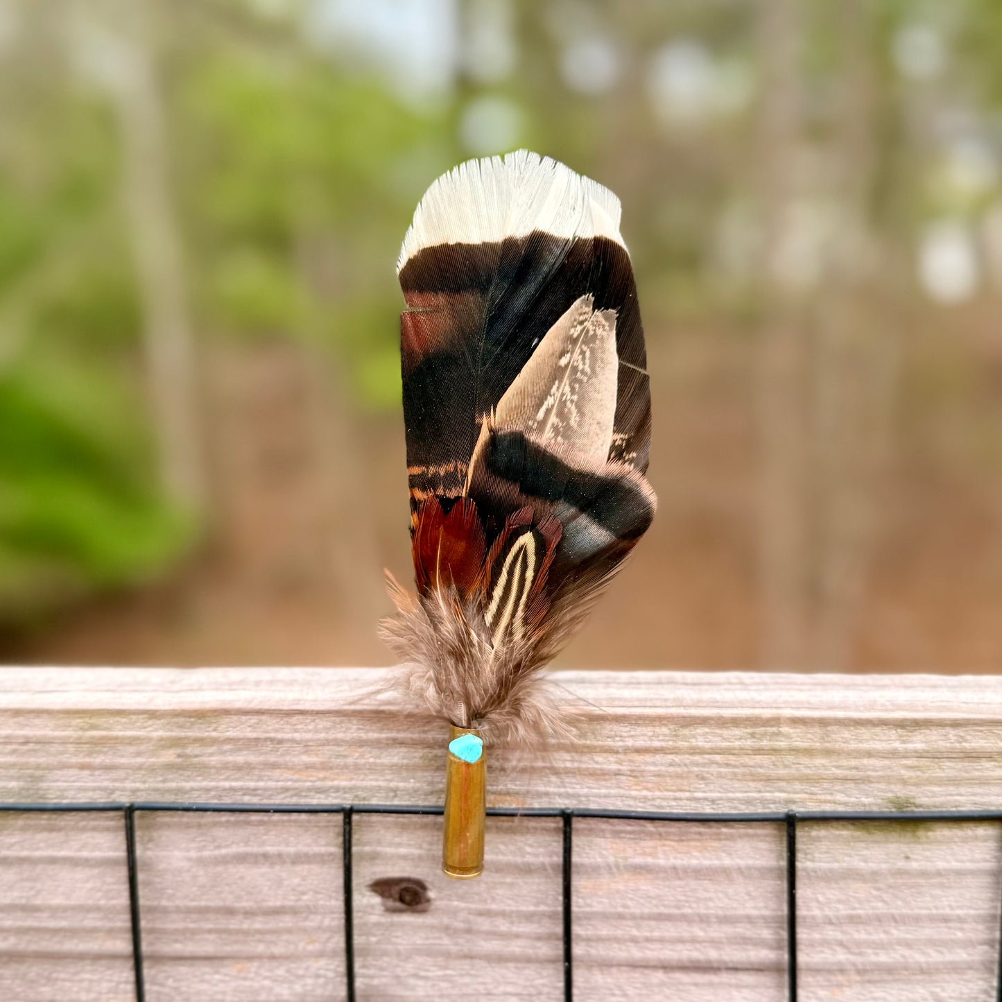 Wholesale Feather Casing clips- 10pk