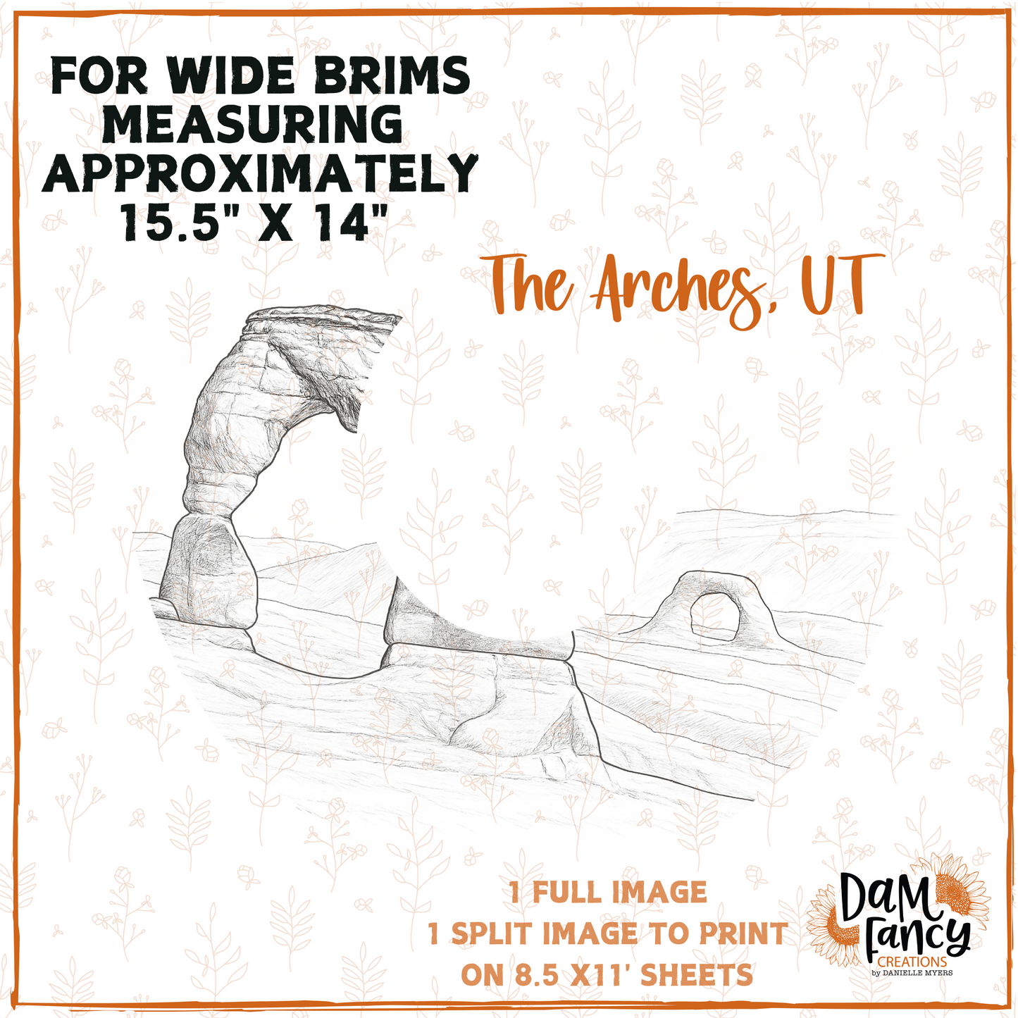 Road Trip Series -The Arches National Park