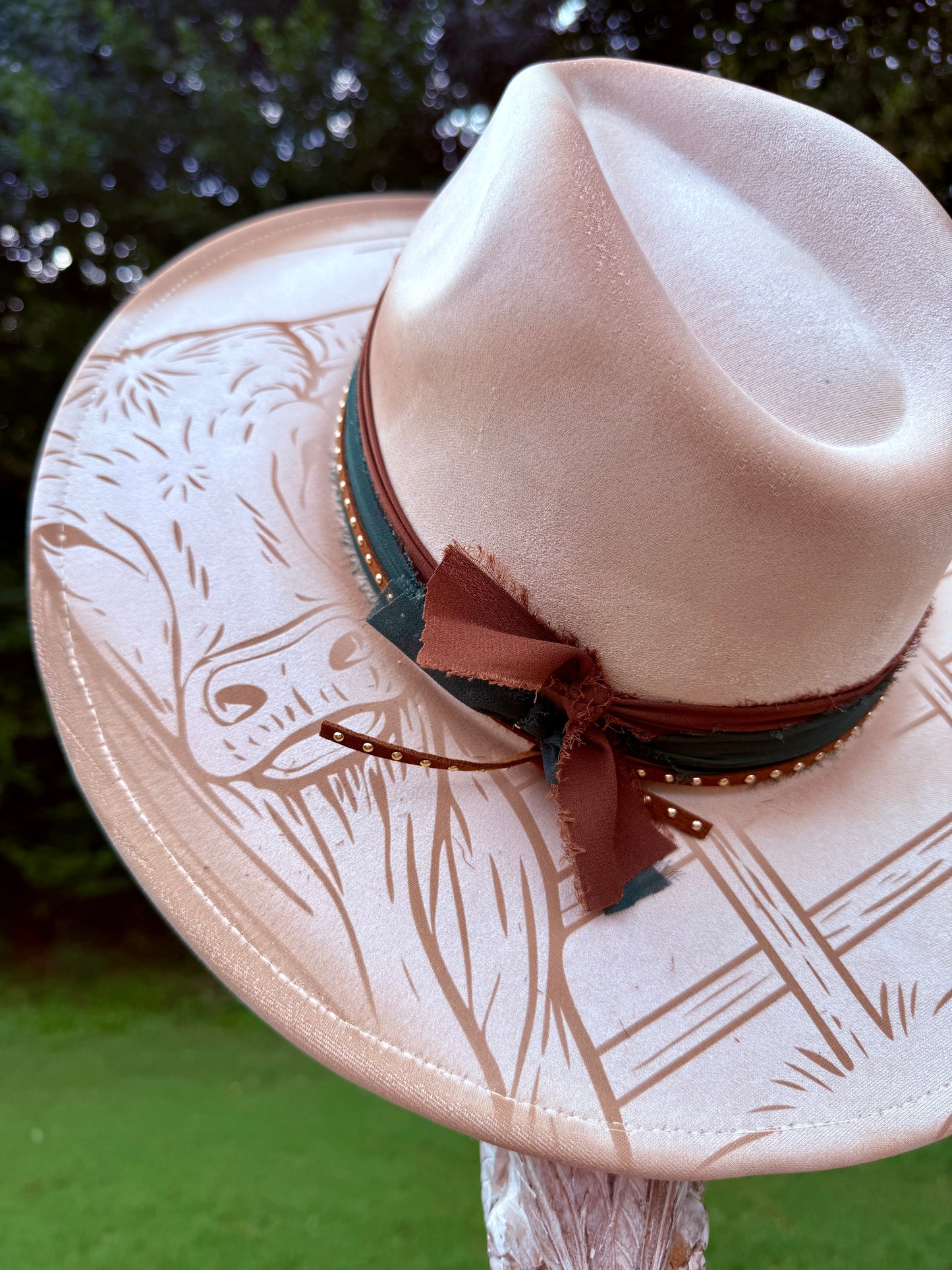 Texas longhorn