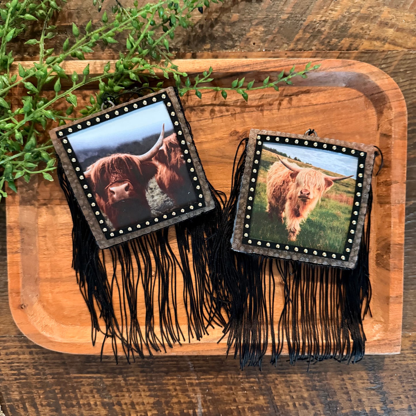 Wholesale Car Freshies- Highland Cow Themed (15 pk)