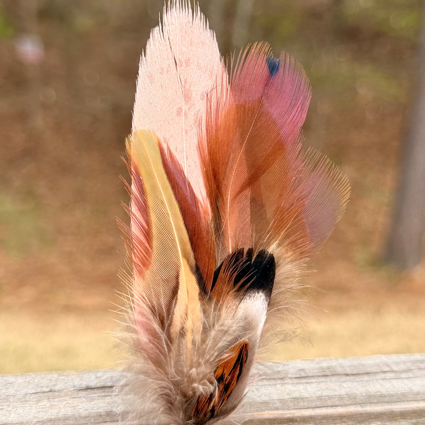 Pinkish Natural Feather Casing Clip with Pink Turquoise Gem