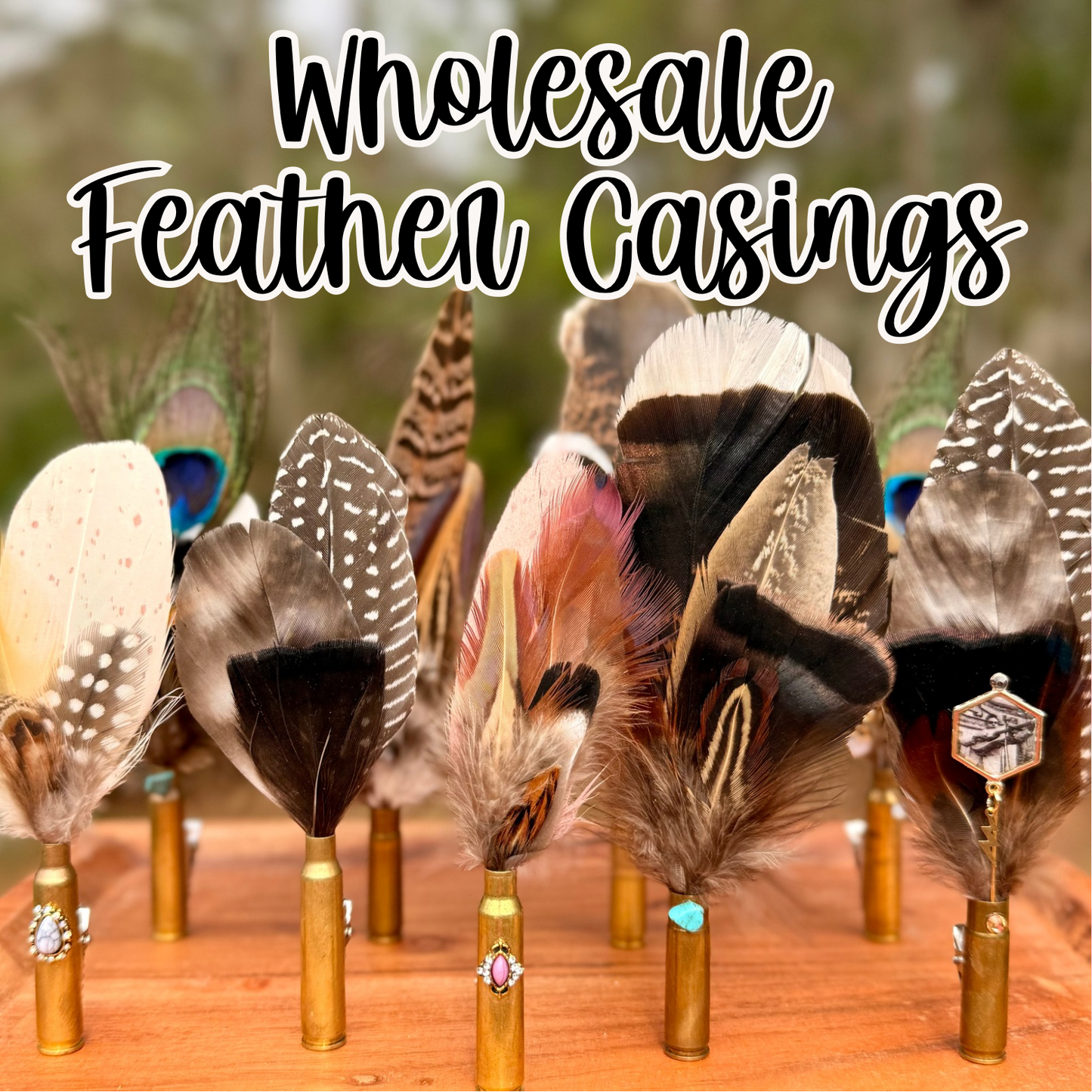 Wholesale Feather Casing clips- 10pk