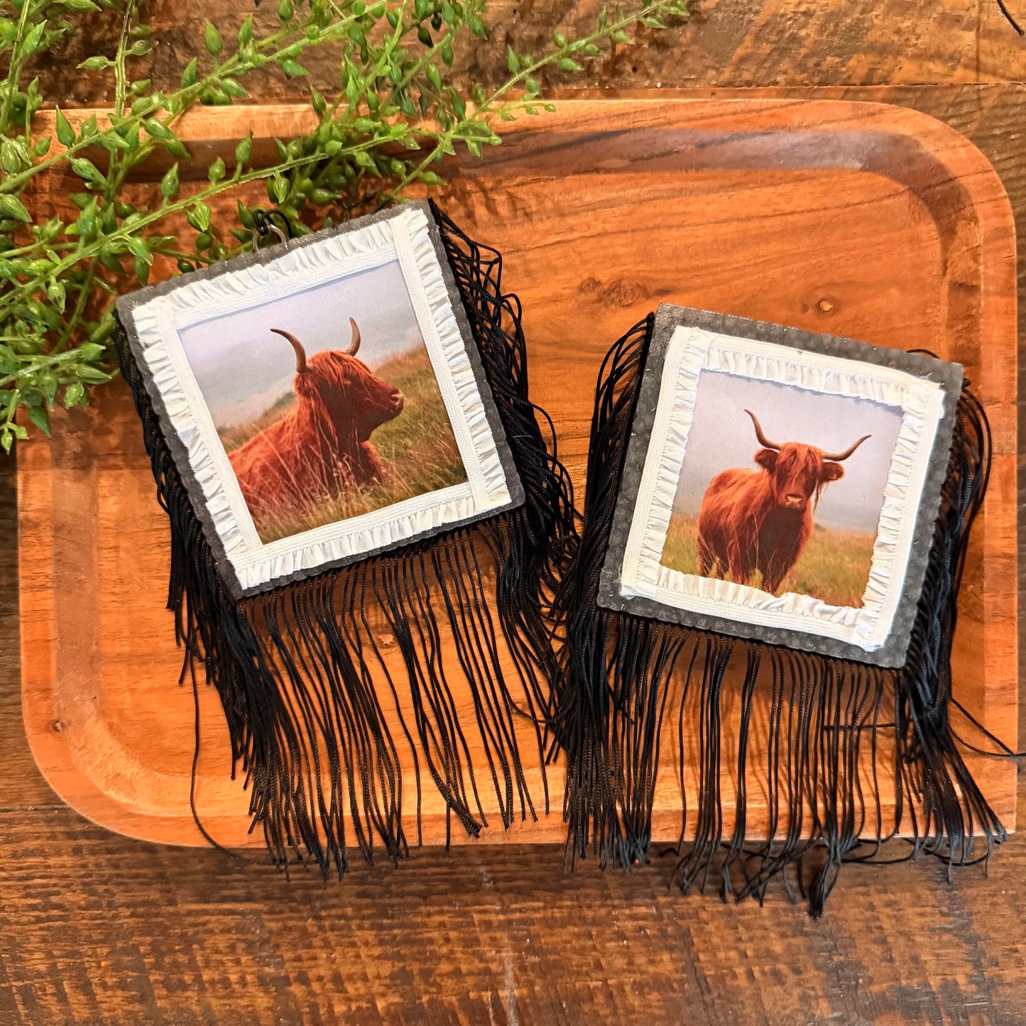 Wholesale Car Freshies- Highland Cow Themed (15 pk)