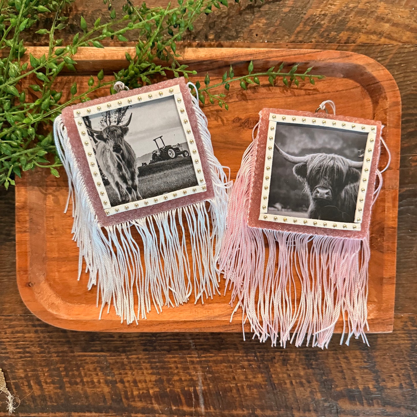 Wholesale Car Freshies- Highland Cow Themed (15 pk)