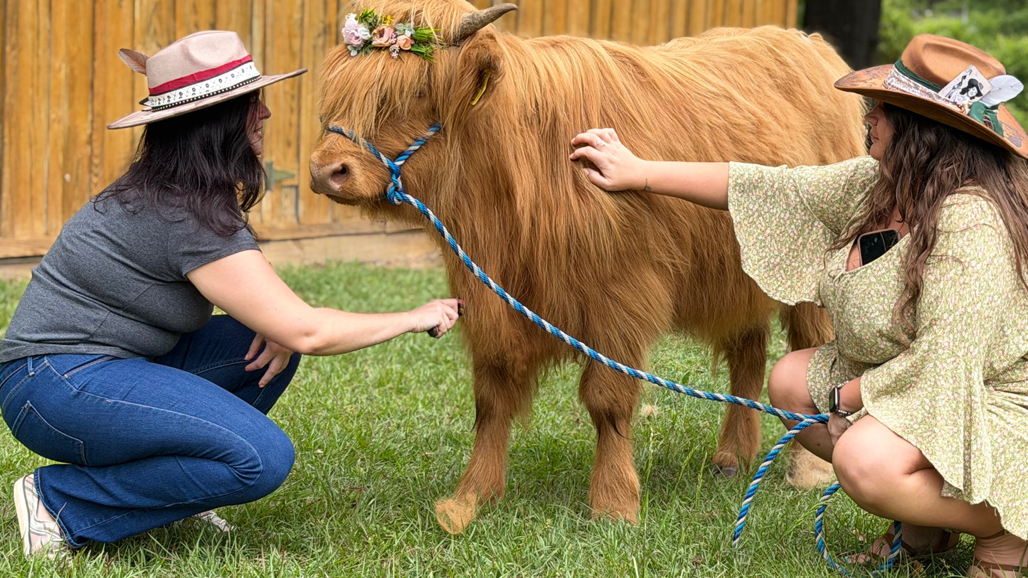 The Shortridge Farms TRUCKER Hat Burning Workshop + Highland Cow Experience!