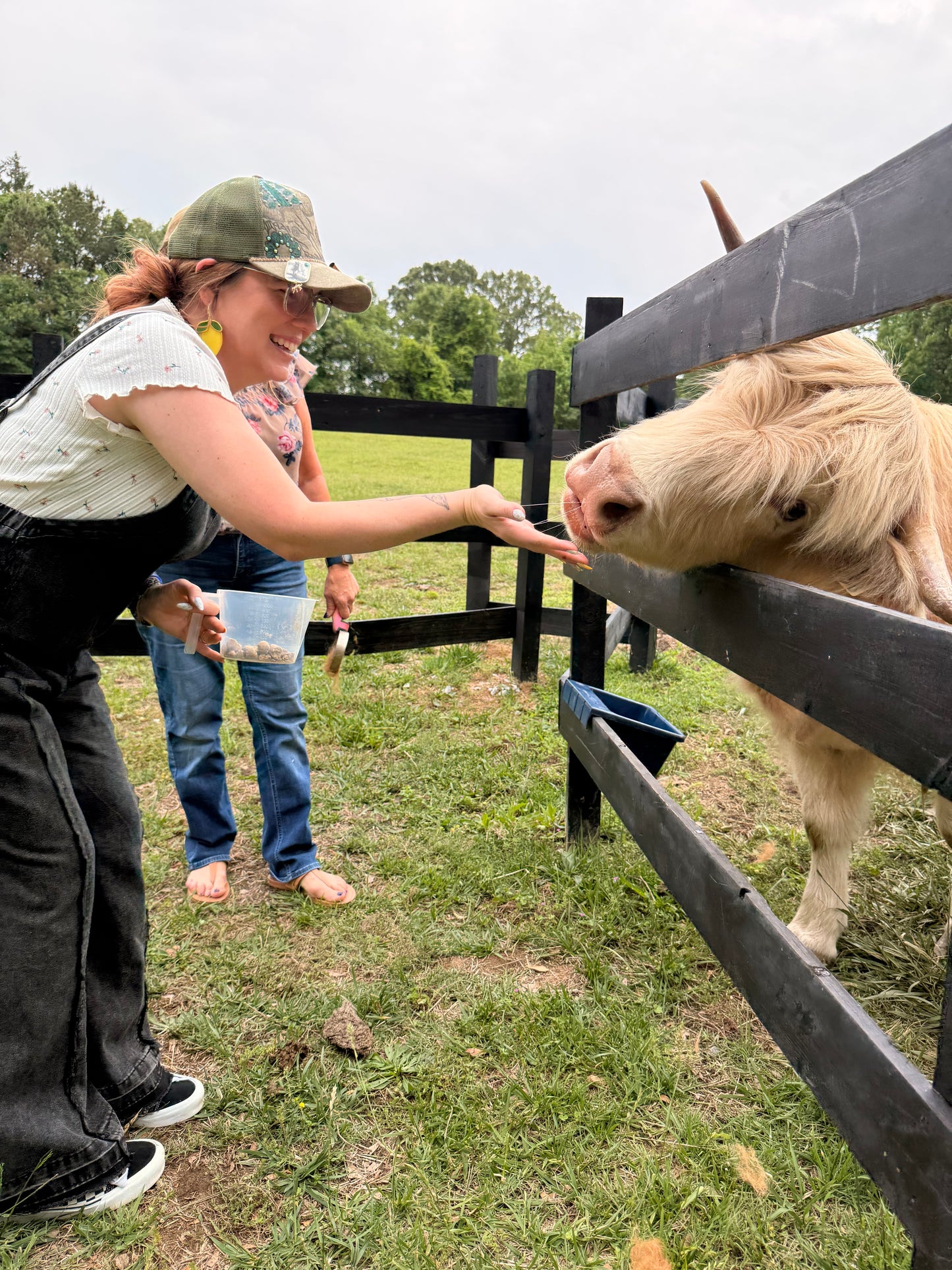 The Shortridge Farms TRUCKER Hat Burning Workshop + Highland Cow Experience!